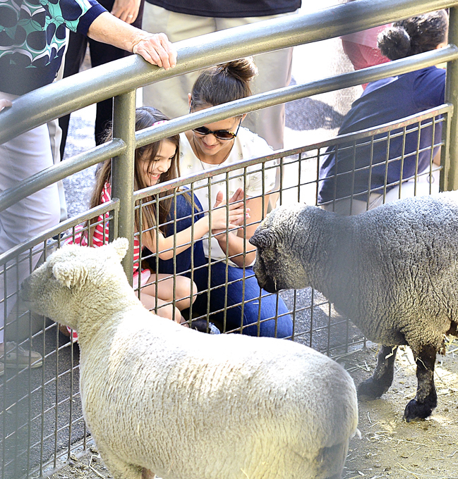 Что случилось с Томом Крузом?