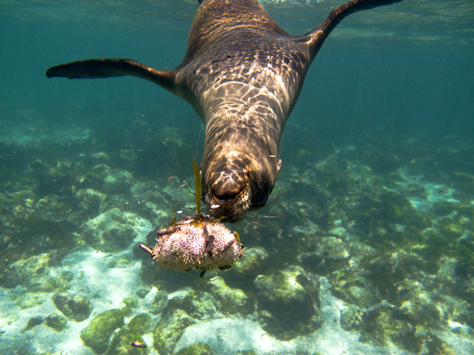 Отдых на Галапагосских островах