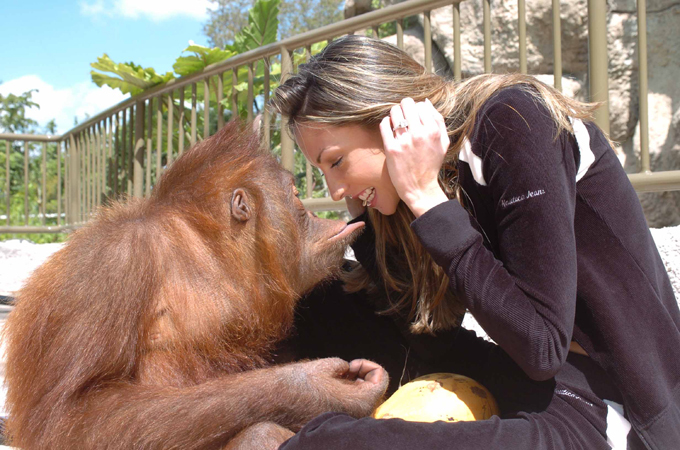 Забавные зверюшки: в поисках дальних предков
