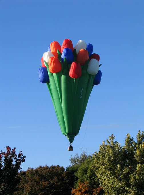 Свадебное безумие