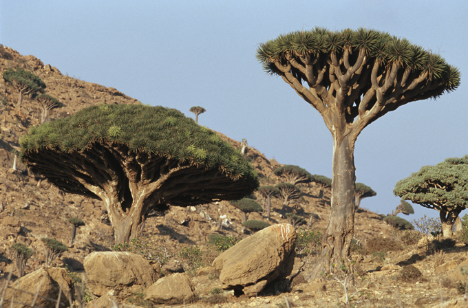 Самые живописные и необычные острова