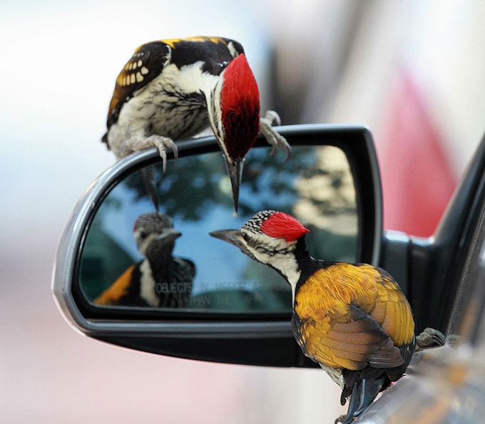 Один кадр - одна жизнь