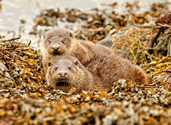 Один кадр - одна жизнь