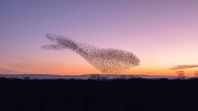 Один кадр - одна жизнь