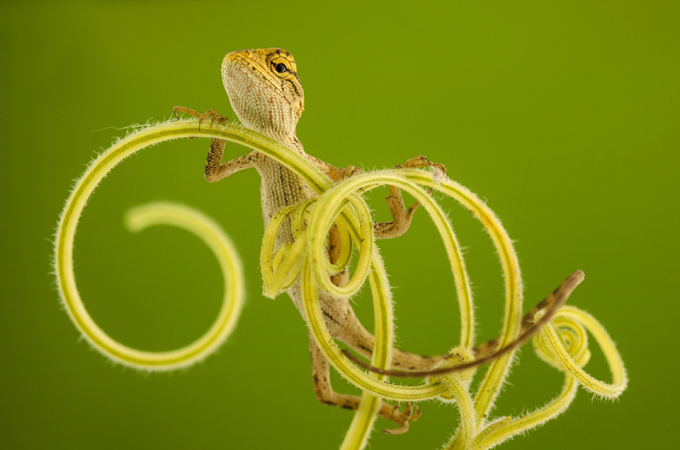Один кадр - одна жизнь
