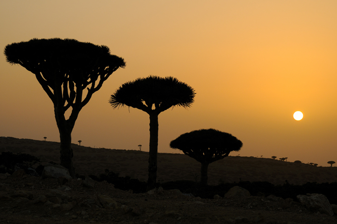 ЮНЕСКО знает что охранять