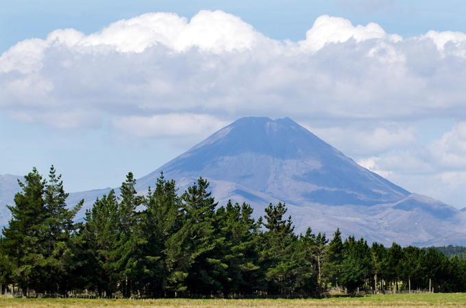 ЮНЕСКО знает что охранять