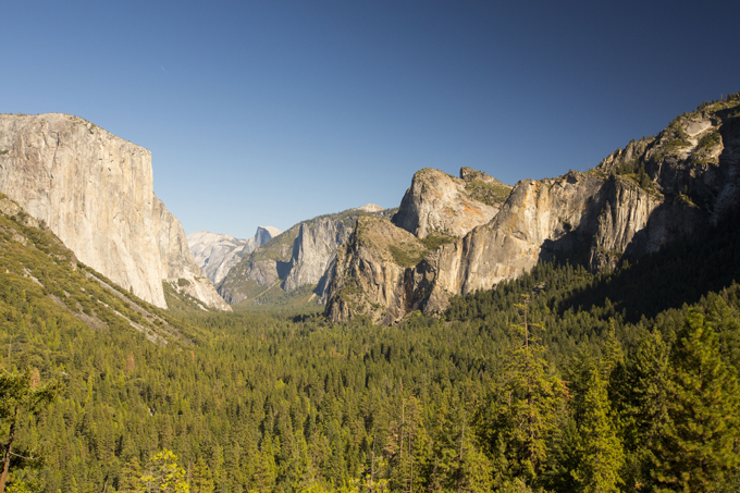 ЮНЕСКО знает что охранять