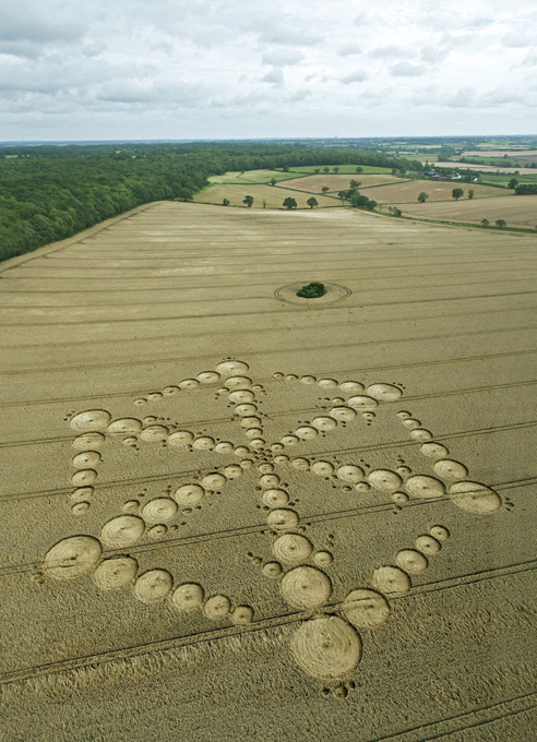 Тайна останется тайной. Круги на полях