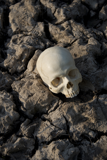 Нострадамус. Что год грядущий нам готовит?