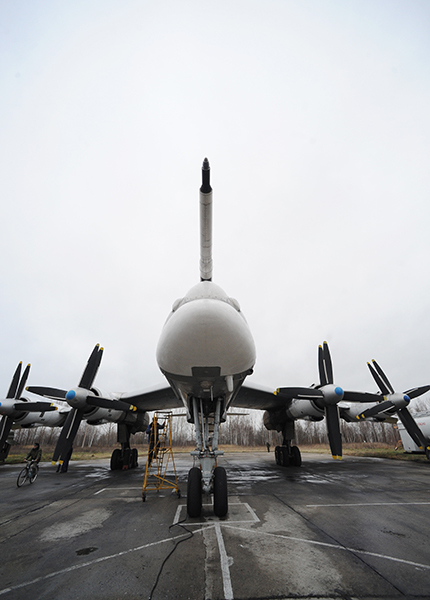 "Атомный медведь"