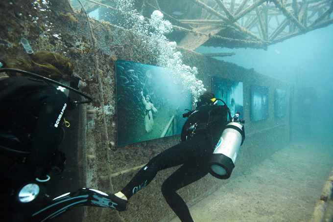 Подводная выставка на затонувшем судне