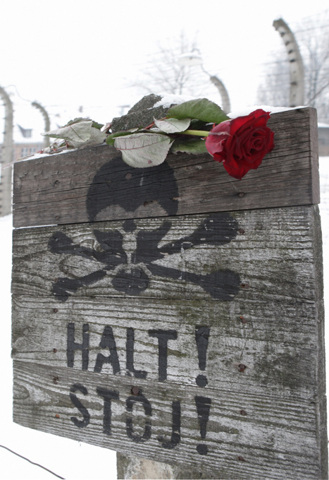 Освенцим - фабрика смерти