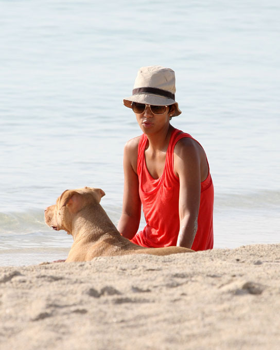 "Собачья жизнь" со звездой