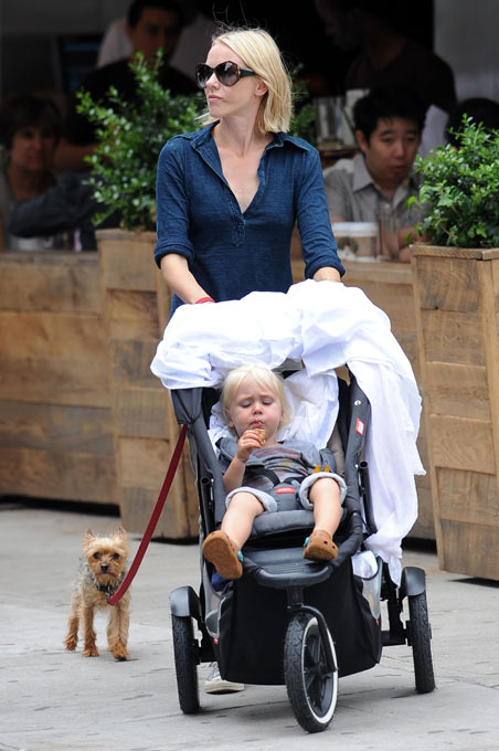 "Собачья жизнь" со звездой