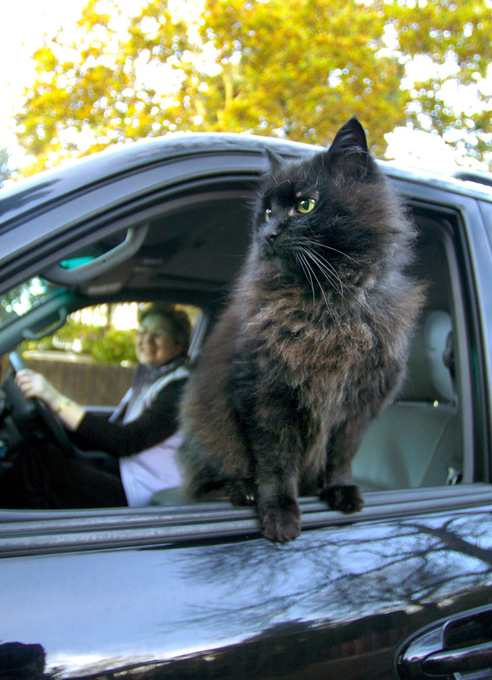 Главный "проходимец" российских дорог