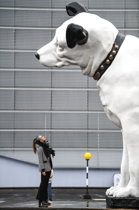 Чего только не придумают?! Собака Баскервилей