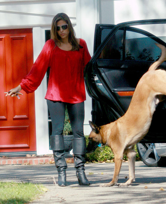 "Собачья жизнь" со звездой