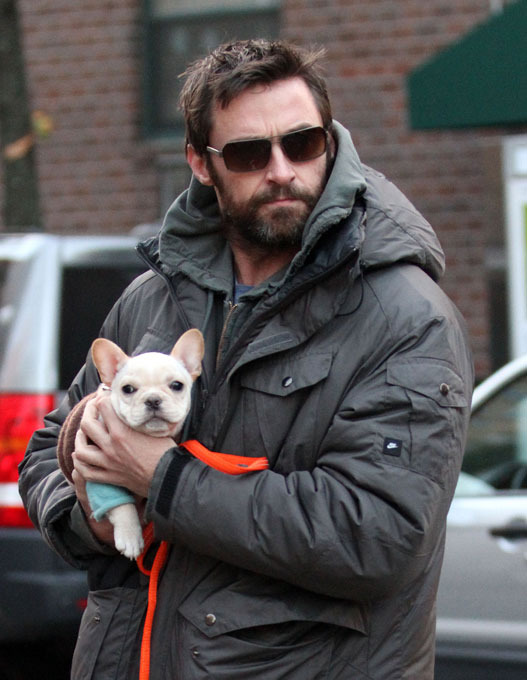 "Собачья жизнь" со звездой