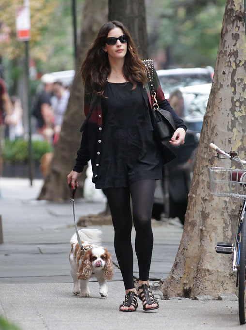 "Собачья жизнь" со звездой