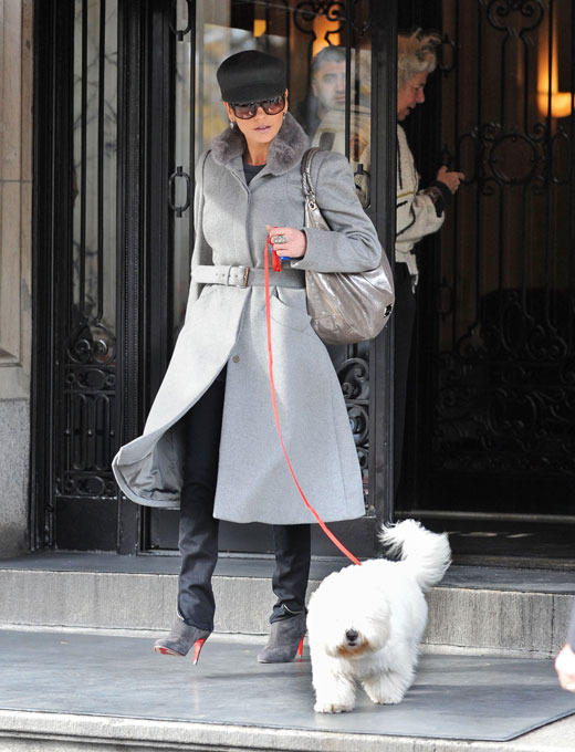 "Собачья жизнь" со звездой