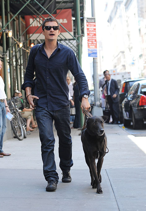 "Собачья жизнь" со звездой