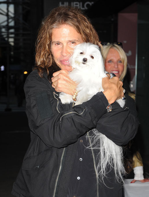 "Собачья жизнь" со звездой