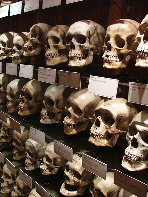 Музей не для слабонервных