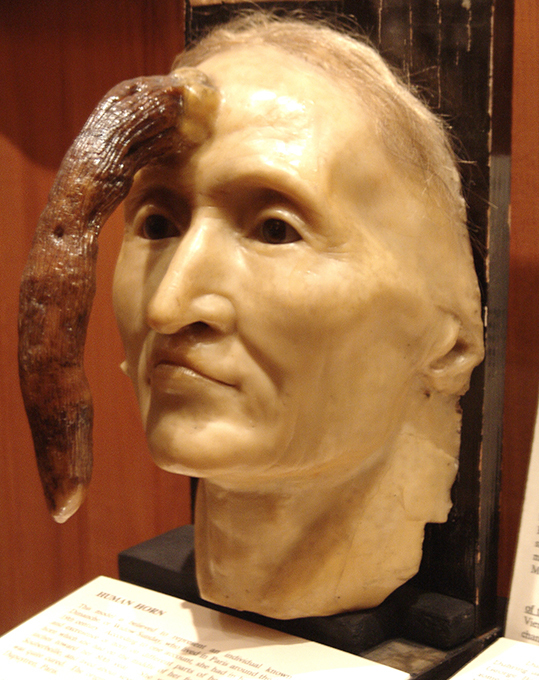 Музей не для слабонервных