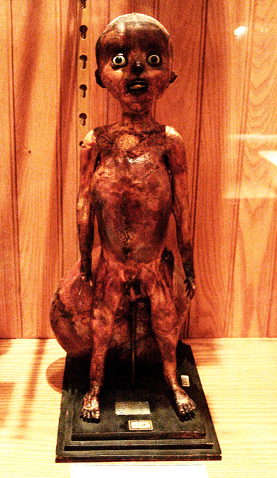 Музей не для слабонервных