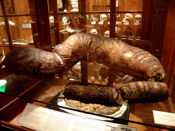 Музей не для слабонервных