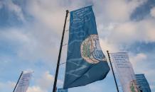 ОЗХО может стать судом Линча