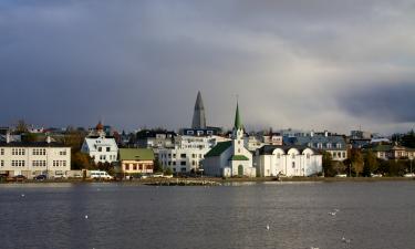 В районах столицы Исландии появились первые комары в 2025 году по данным биологов