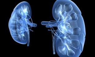 Что  становится причиной нефротического синдрома