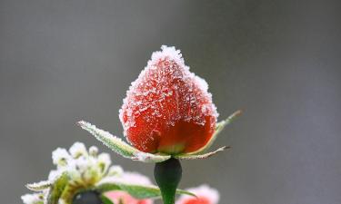 Августовский снег в Кемерове? Метеоролог прокомментировал необычное явление