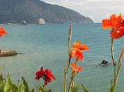 Новые санкции против Крыма напугали ежа…