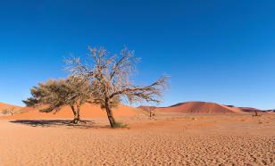 У Индостана и в Карибском море в этом году грядёт экстремальная жара