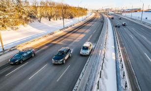 Водители устроили "пробку" на трассе М-11 под Тверью ради спасения медвежонка