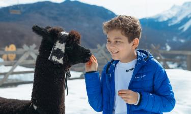 Роза Хутор объявил график работы канатных дорог в межсезонье