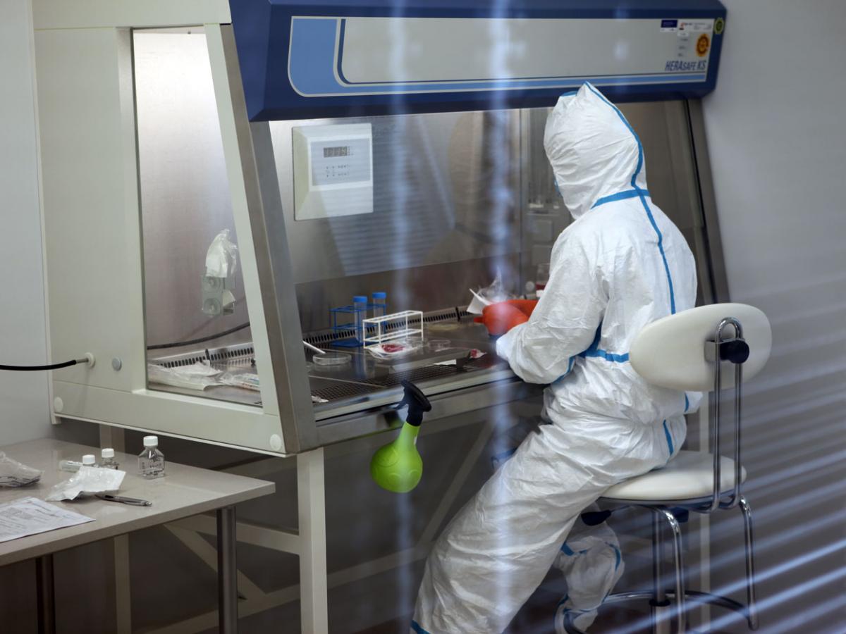 Белок COX7RP дарит надежду на долголетие  Aging Cell