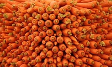 Пока другие полют, ваша морковь сама растёт: секрет грядки без лишней возни