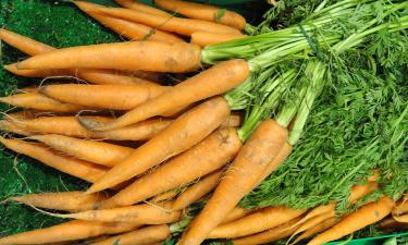 Необычный способ, который переворачивает всё: морковь растёт ровной и сладкой без усилий