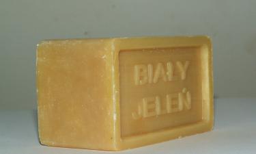 Регина Тодоренко и её методы воспитания: что произошло, когда двухлетний Мирослав попробовал мыло?