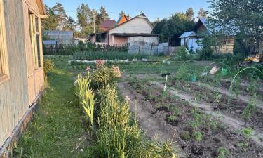 Как устроить огород дома