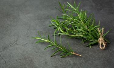 Ветка в банке — и спальня перезагружается: запах, меняющий сон и атмосферу