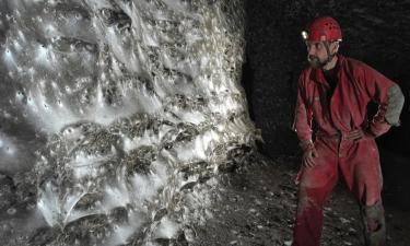 В Греции нашли пещеру ужаса: 111 тысяч существ оплели стены живой паутиной мегаколонии