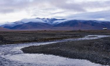 Суровый климат Чукотки отступил перед тарелкой: за этим вкусом летят через всю страну