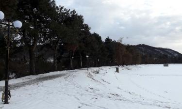 Смерть на обгоне: цена ошибки на трассах Северного Кавказа выросла в геометрической прогрессии