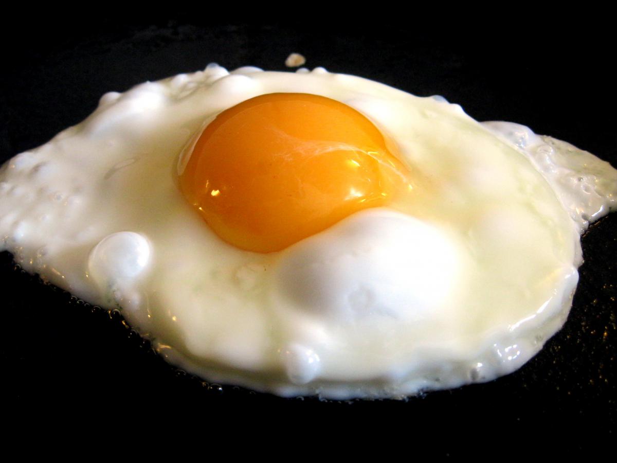 7 дней — и кишечник изменился: невероятное открытие о влиянии диеты на микрофлору