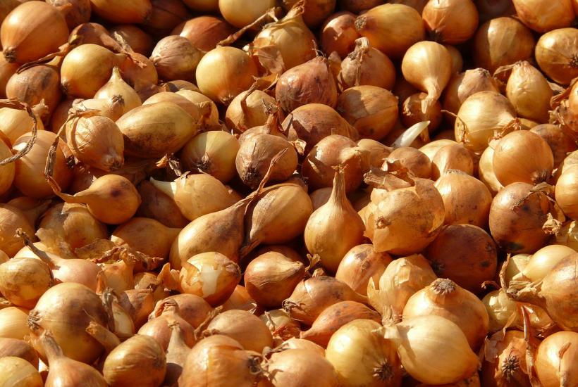 Лук